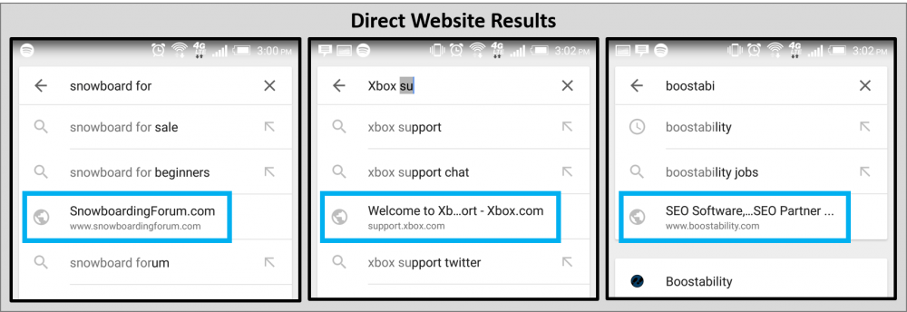 Direct Web Results