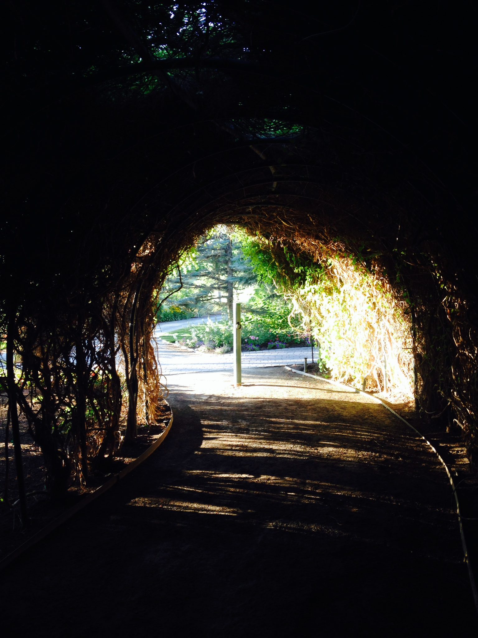 tunnel