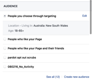 Facebook Audience