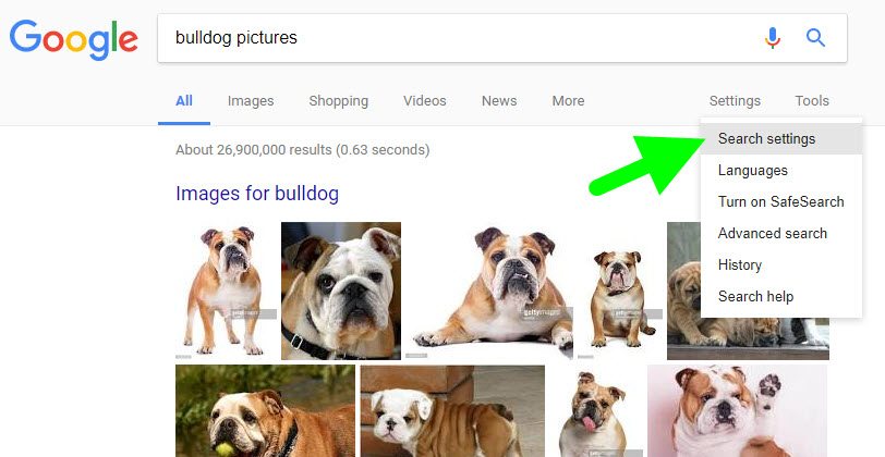 Bulldog Location Search