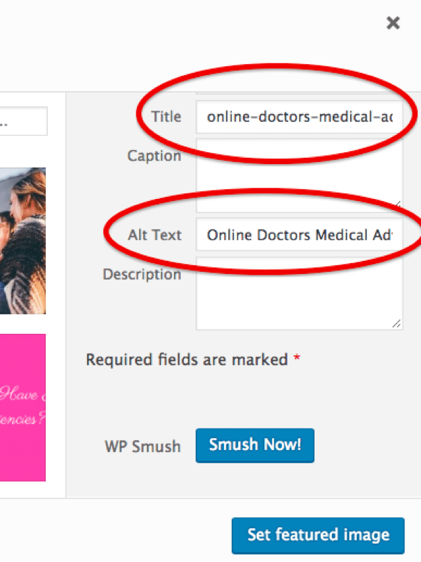 alt text example