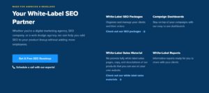 best white label seo companies the hoth